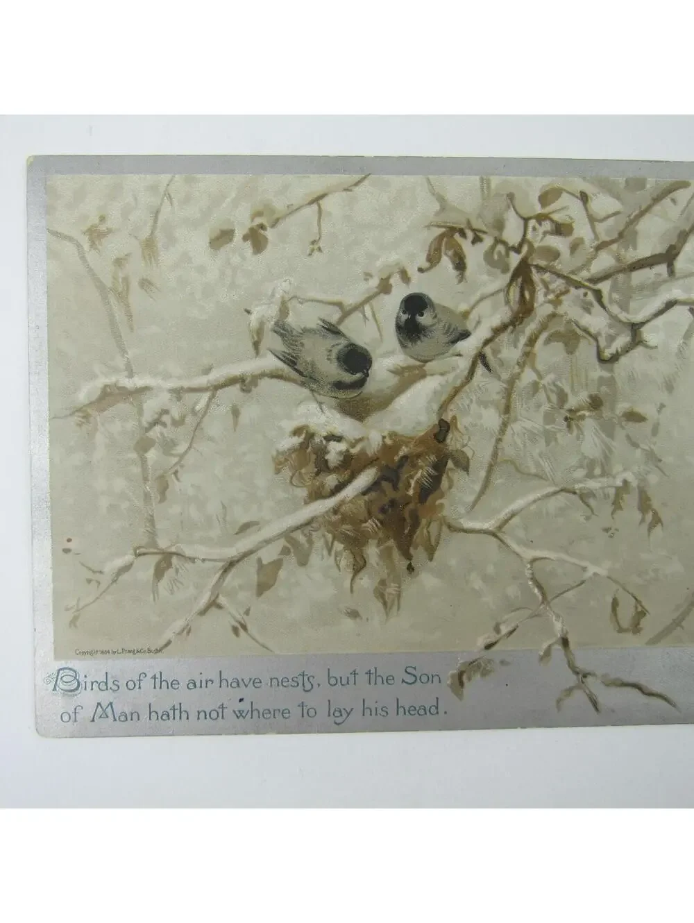 Victorian Greeting Card Birds in Tree Religious Silver Border Antique 1884